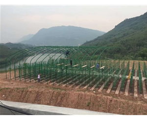 現(xiàn)場安裝香菇架